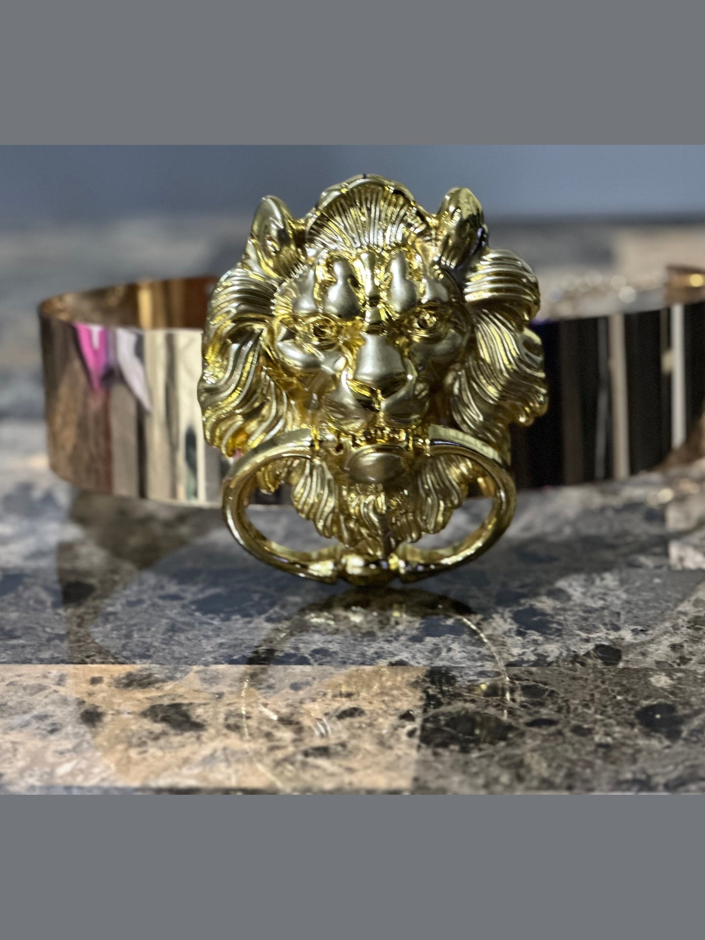 Lions Den Metal Door Knocker Belt