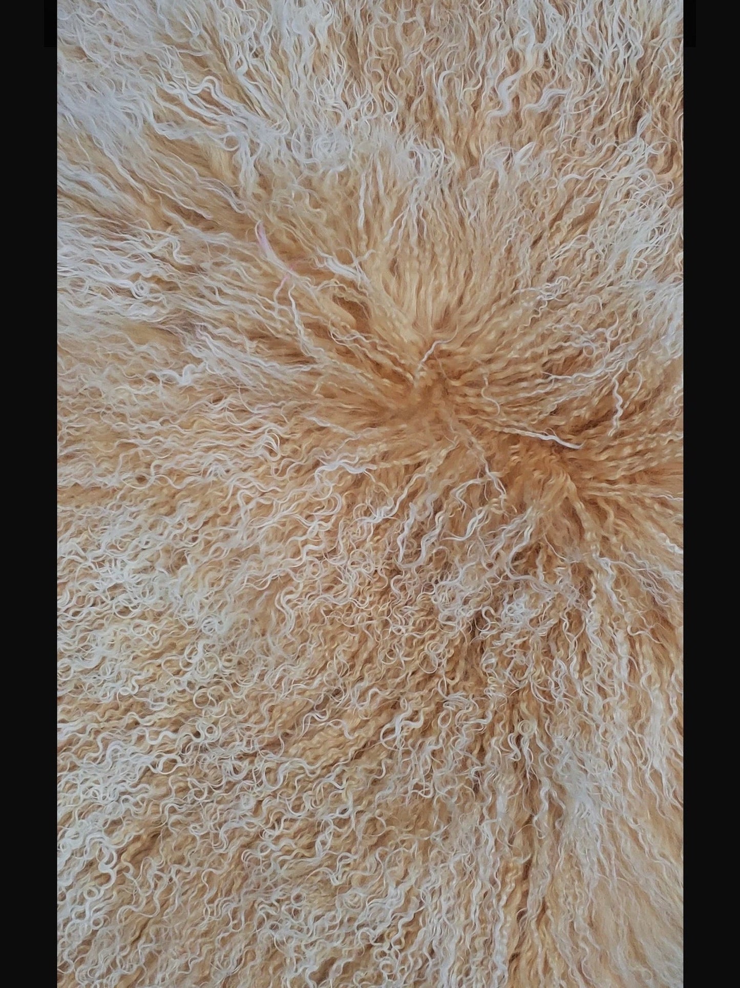 Hear Me Roar - GENUINE Tibetan Lamb Cross Body Oversized Bag